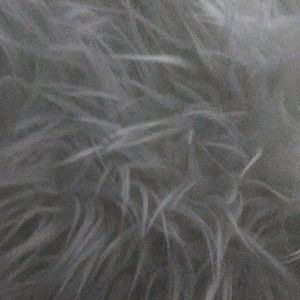 Meet your Posher, Brooklyn